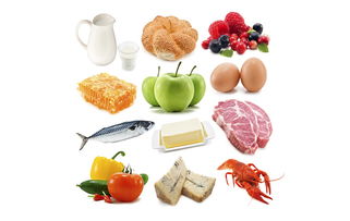 食品流通許可證辦理指南 適用企業類型與所需資料詳解