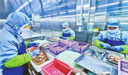 訂單旺 生產忙 食品行業迎來發展新機遇